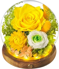 Forever Flowers for Delivery Prime, Christmas Preserved Rose in Glass Dome, Gift