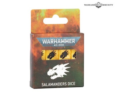 Salamander Dice Set - Warhammer 40k Space Marines (Pre-Order) 8/23