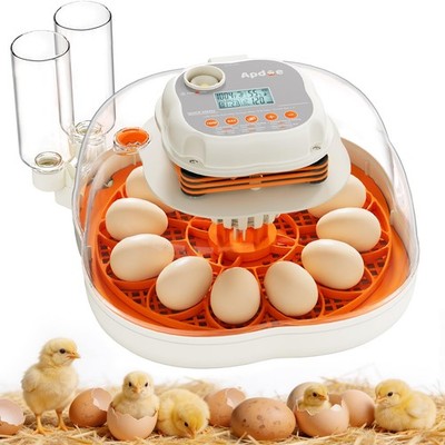 Egg Incubator 12 Eggs 30 Quail Automatic Turning Temperature Control APDOE Water