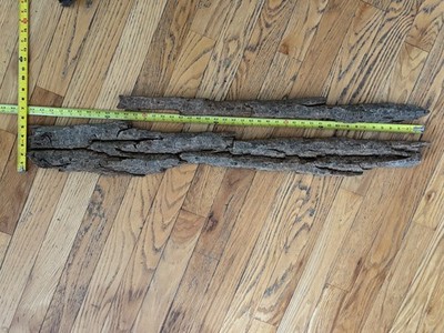 2 Pieces Clean Thick Extra Large MN Cottonwood Bark for Carving, Straight, Nice