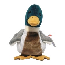 🦆 TY Beanie Baby “Jake” the Mallard Duck with Protective Caps Stuffed Animal