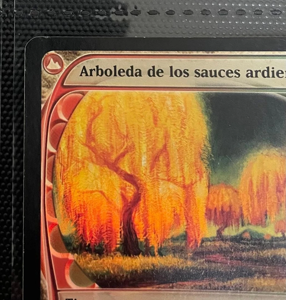 Foil Future Sight Burning Willow Grove Spanish version Used Trading Card - Image 3 of 4