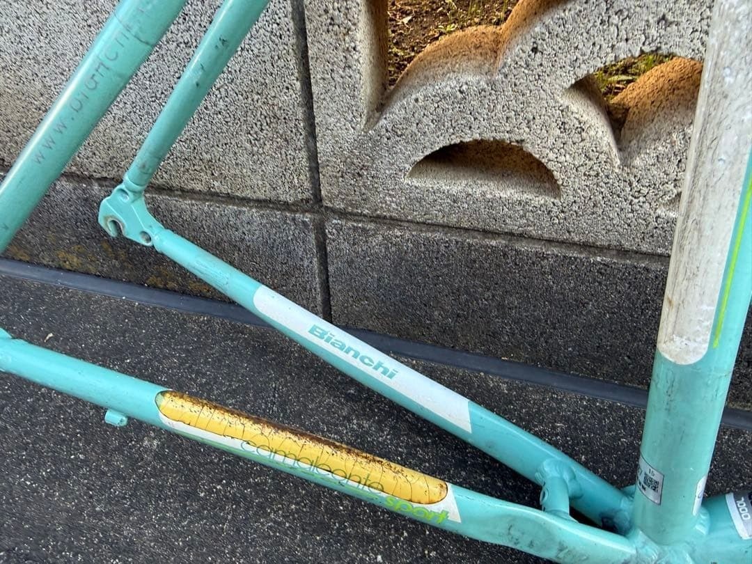 Bianchi Camaleonte BIKE Frame Set M | eBay
