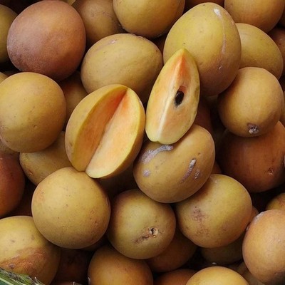 Kalipatti Sapodilla 35+ Seedss (Manilkara zapota) Chikoo