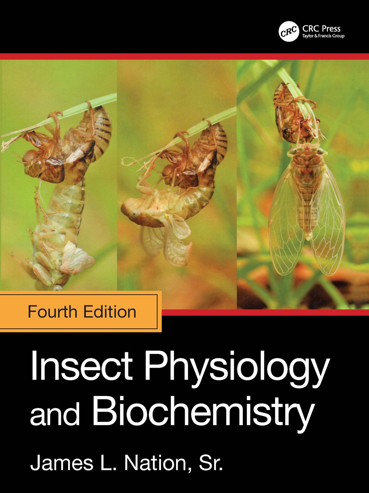 Insect Physiology and Biochemistry - 4th Edition