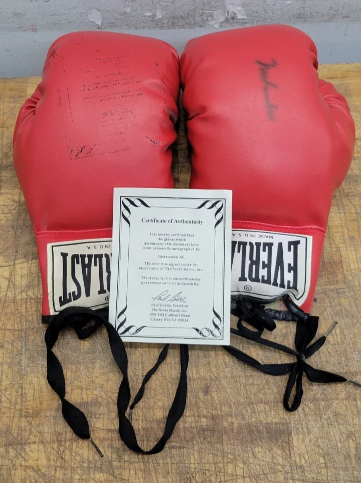 Muhammad Ali Autographed Boxing Gloves for sale | eBay