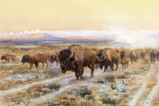 The Bison Trail by Charles Marion Russell Western Giclee Art Print + Ships Free