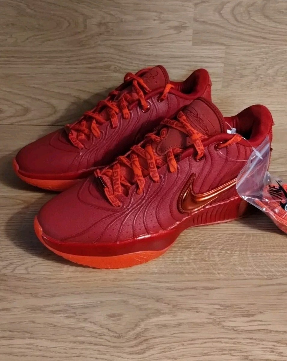 Nike LeBron 21 James Gang Bright Crimson Red Mens 11 Basketball