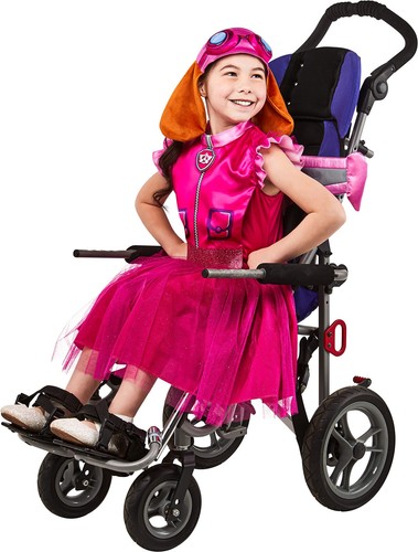 's Paw Patrol Skye Adaptive Costume, As Shown, Small