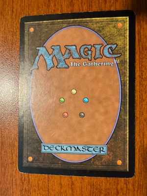 MtG 死の溜まる地、死蔵【CHK】2枚セット Shizo, Death's Storehouse | Dominaria United Commander | Star City