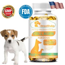 Dog collagen egg white helps postoperative repair joint health hair improvement