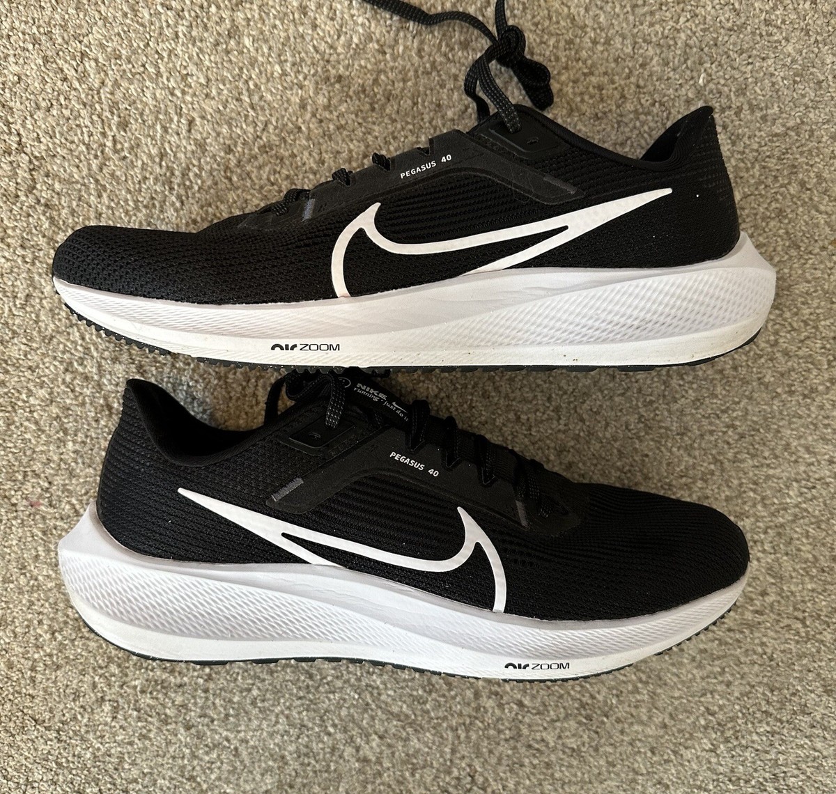 （ポッキー）Nike Pegasus 40 黒 シューズ　25.0 AURORA_DX2498-001_PHSRH001-