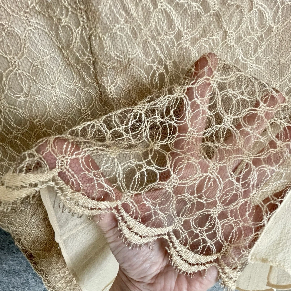 Dana Buchman Delicate Fairy Lacy Silk Flared Pleat Skirt Size 10 Romantic Retro - Image 4 of 4