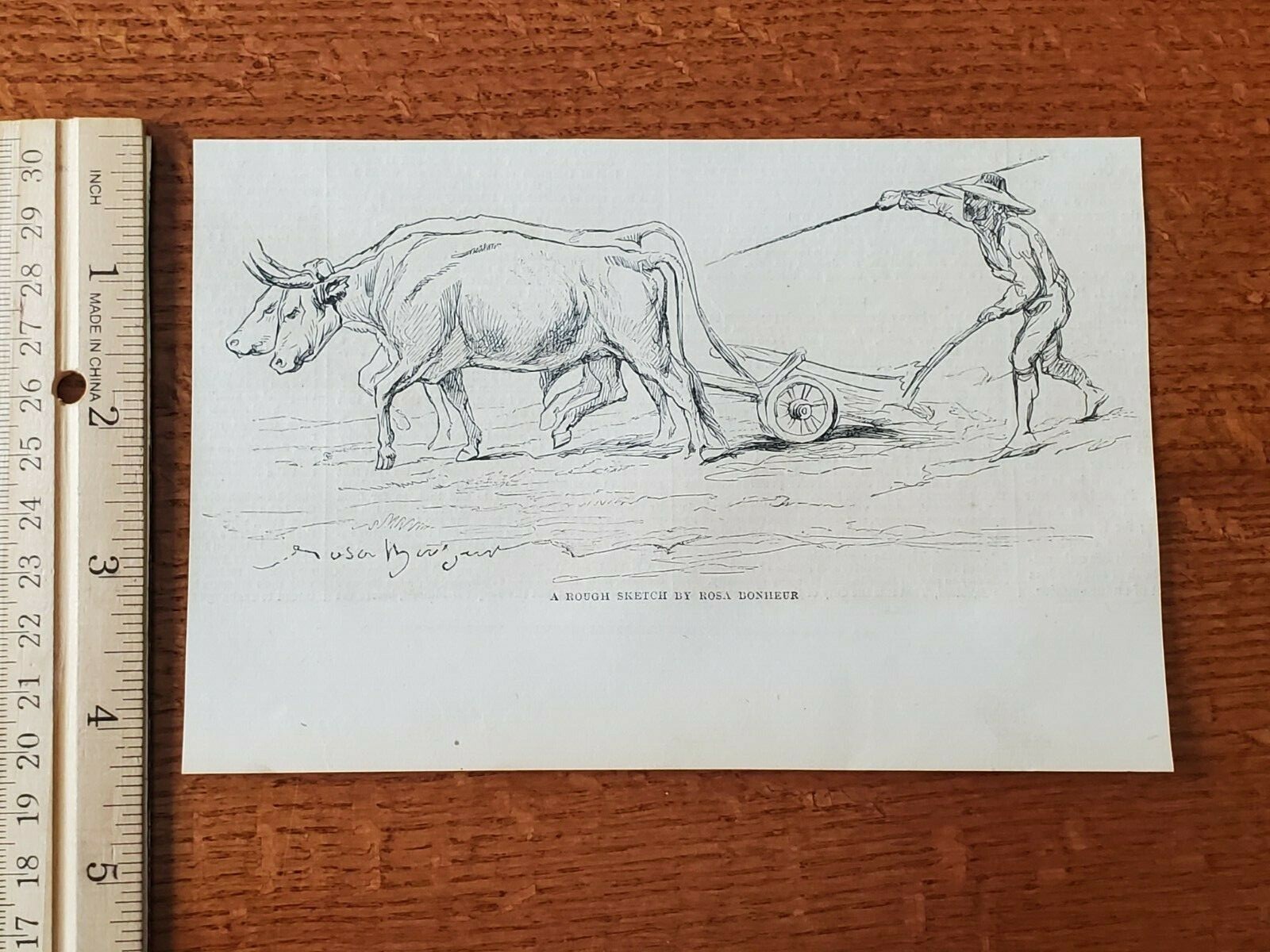 Harper's Weekly 1857 Sketch Print A ROUGH SKETCH BY ROSA BONHEUR