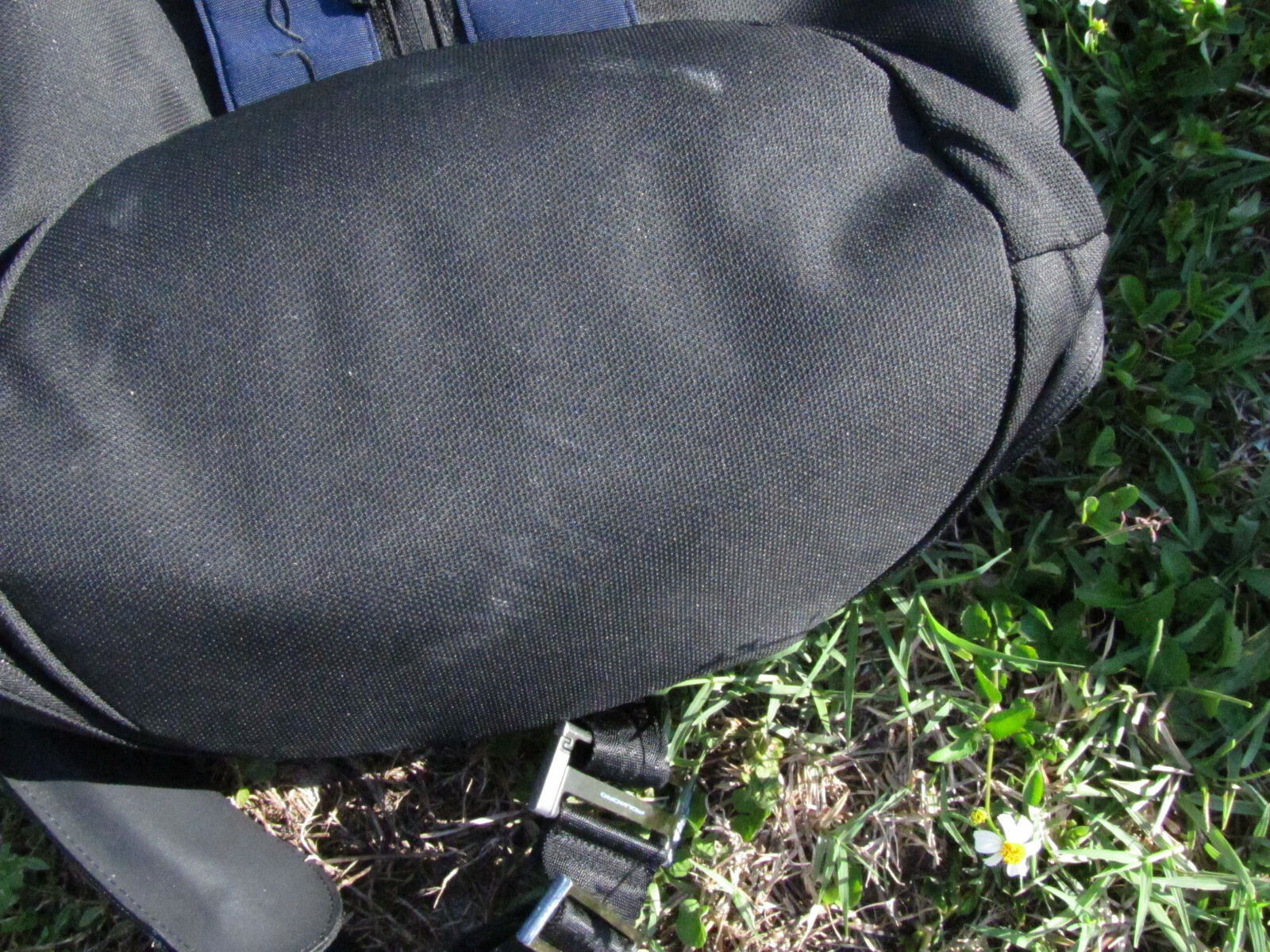 Picture 9 of 10