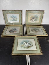 Set Of 5 Basil Ede Game Birds Framed Prints 