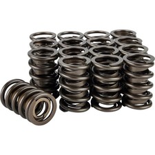 Speedway Racing Valve Springs 1.550 Inch O.d. Set16