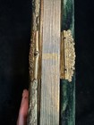 Antique Victorian Art Nouveau Celluloid Album with Floral Velvet Back and Photos — photo 6