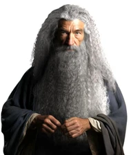 Grey Wizard Beard and Wig - Halloween Funny Father Time Costume Accessory for