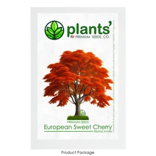 European Sweet Cherry Tree | Premium Seeds | Prunus avium 'Fall' | Plants'®