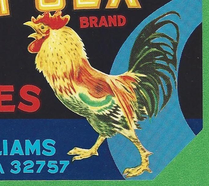 VTG 60s 