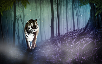 Anime Animal Cgi Fantasy Tiger  Gaming Mat Desk 9793