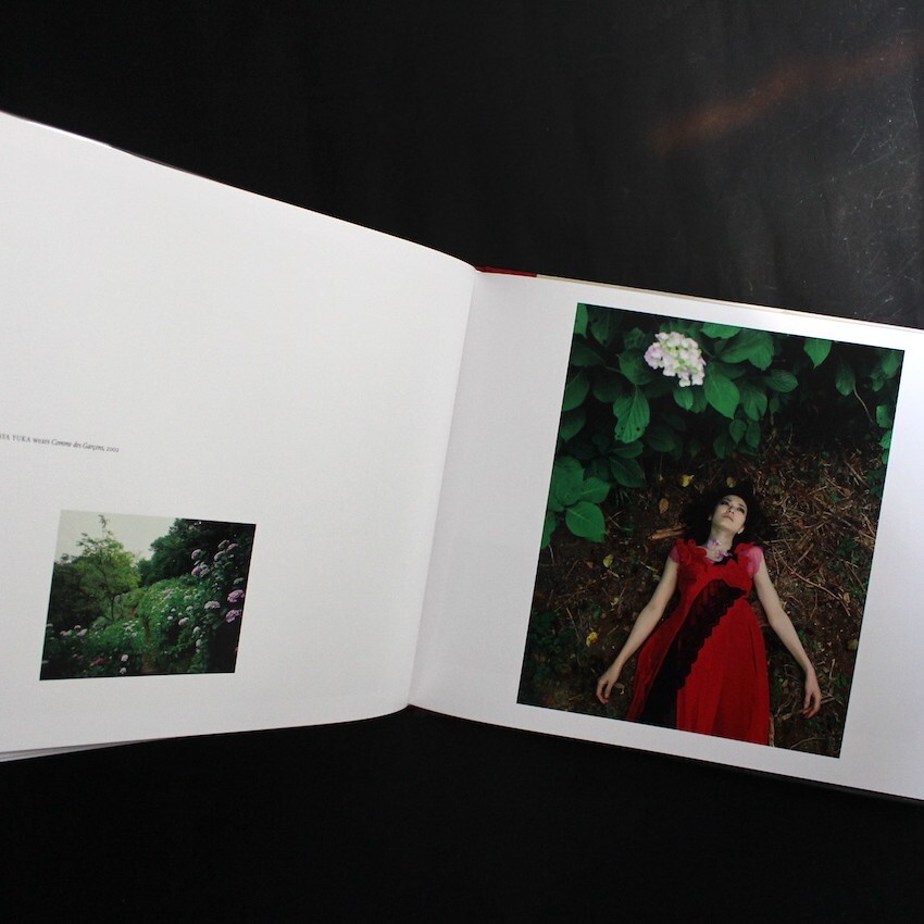 アート・デザイン・音楽 IZIMA KAORU Landscape with a Corpse Amazon | Izima Kaoru, Landscapes With a Corpse | Hasegawa