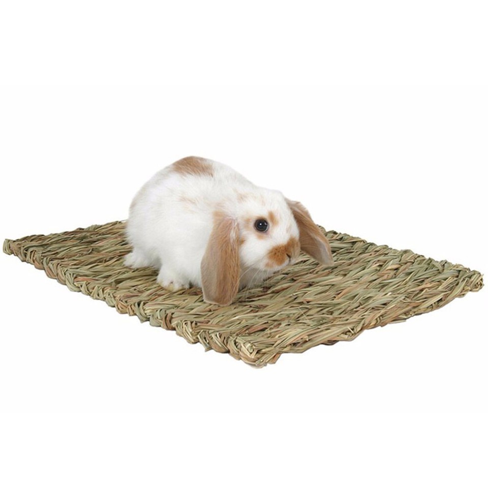 2 Pcs Rat Grass Mat Bird Grass Bed Rabbit Mat Woven Grass Mat Rabbits