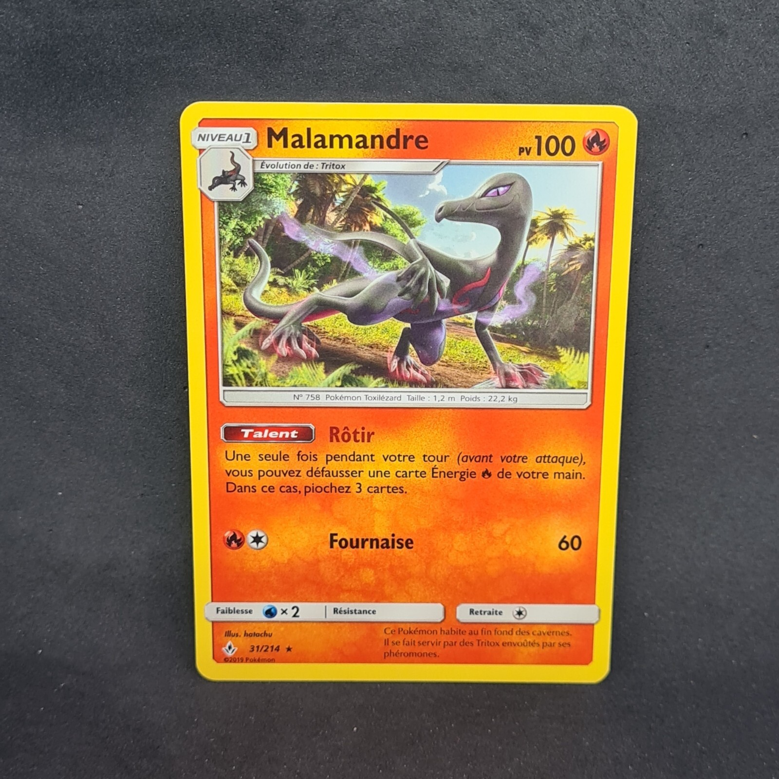 Bild 41 von 280