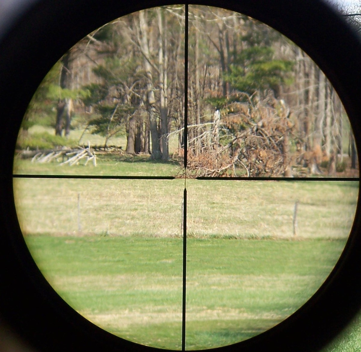 Zeiss Diavari-C 3-9x36mm Rifle Scope ~Nice~ Matte | eBay