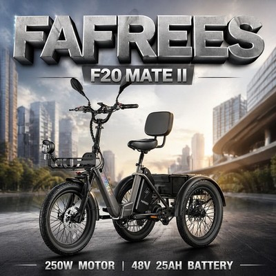 Fafrees F20 Mate II Elektro Dreirad 3 Rad 250W Klapprad 20 Zoll E-Bike mit Korb