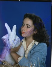 Young Elizabeth Taylor 8x10