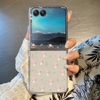 Foto 16 di 26