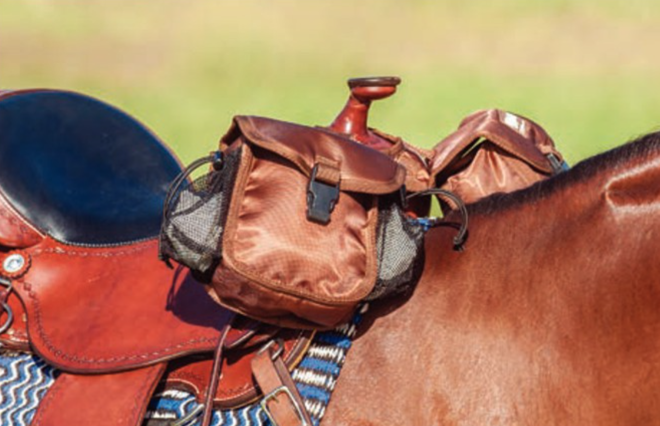 equestrian tack bolsas