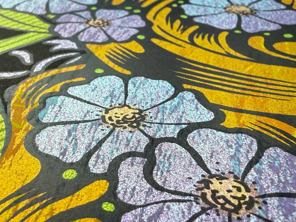 Chuck Sperry - Outside Lands, 2024 The Killers Post Malone Sabrina Carpenter Foto 4 de 4