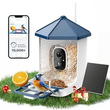 Bird Feeder with Camera Solar Powered, 1 Year Trial AI Identify Live Video, 2K