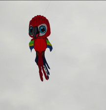 new 3D kite / large software kite / 8 m Parrot kite / high quality