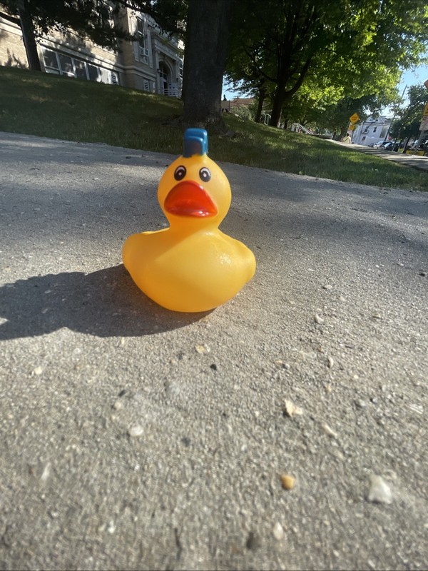 Ducks With Hair And Colors With Designs