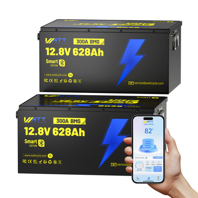 12V 628Ah Bluetooth LiFePO4 600Ah Akku Lithium Batterie 300A BMS Solaranlage RV