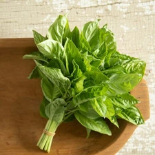 Newton Basil Seeds - 200 Seeds