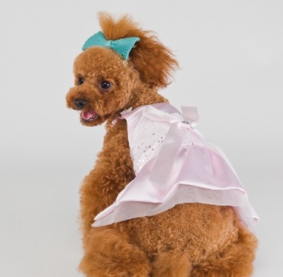 Spring Formal Satin Dog Dress Gown w Bow Wedding Party Speical Occasions  XS-XL | eBay