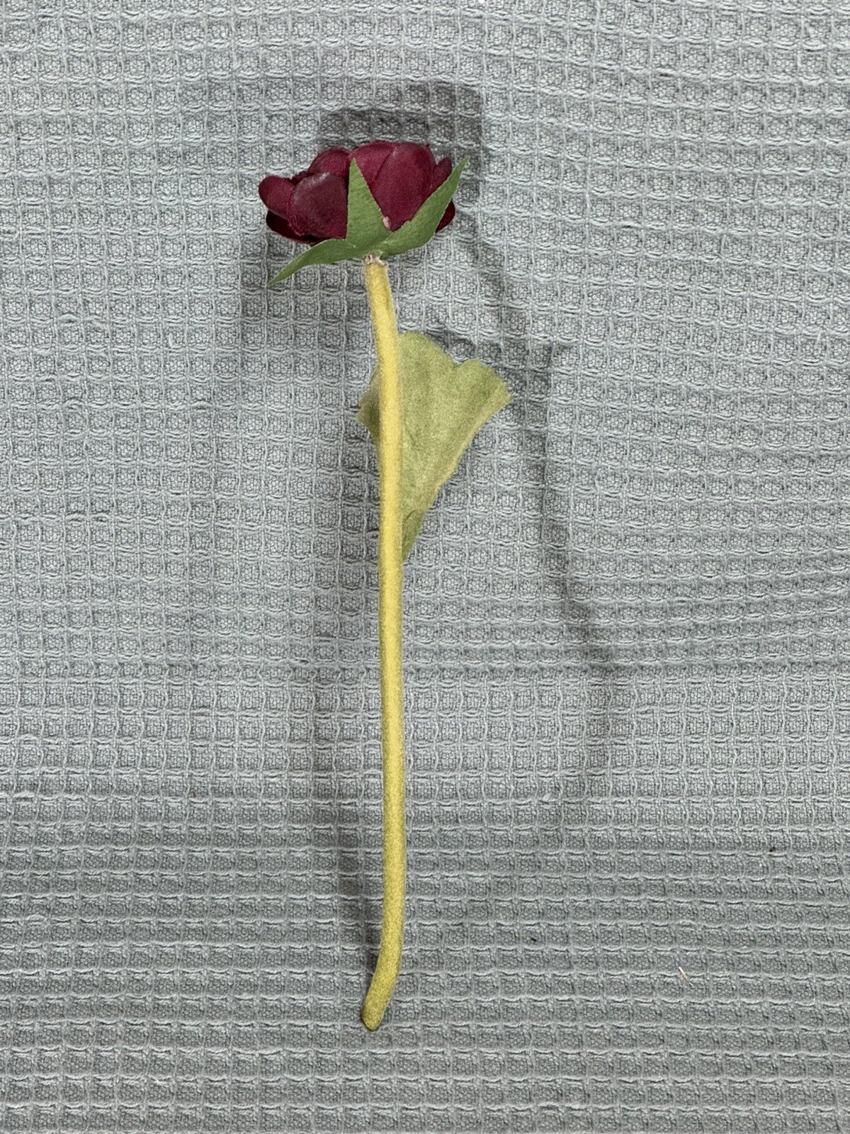 Picture 3 of 9