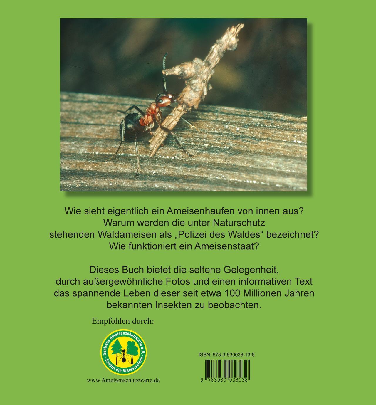 Thumbnail - Heiderose Fischer-nagel Der Ameisenstaat