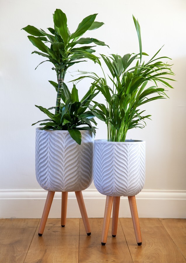30cm Fern Patterned Planter on Legs - White - Indoor Plant Pot Stonelite