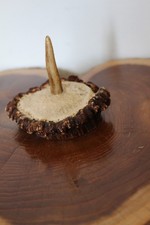 Custom Made  Elk Burr Turkey Wing Bone or Trumpet Call Display Stand