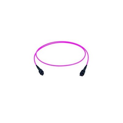 Telegärtner MPO/MTP-Patchkabel vio 3m 100010993 LWL MPO/MTP-Patchkabel
