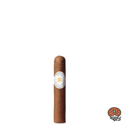 The Griffin´s Classic Short Robusto Zigarren Dominikanische Republik