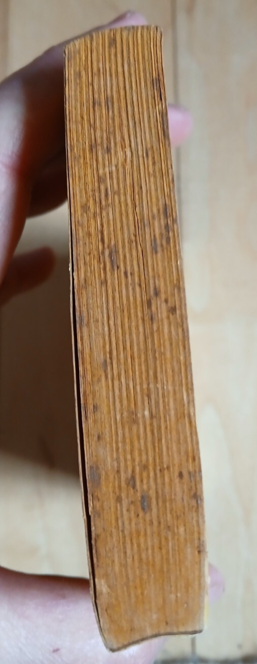 Picture 4 of 9