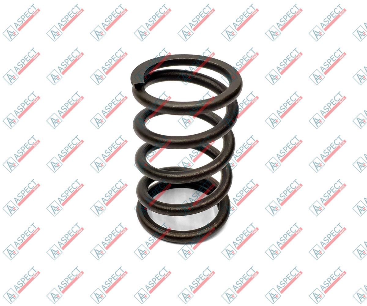 Bosch Rexroth A10VG63, A10VO72 Spring of Rotor