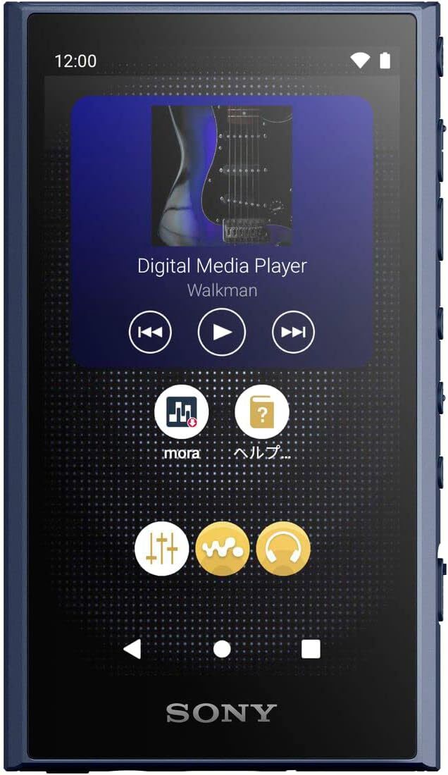 Sony NW-A306 Black Gray Blue 32GB Hi-Res A300 Series Walkman Audio